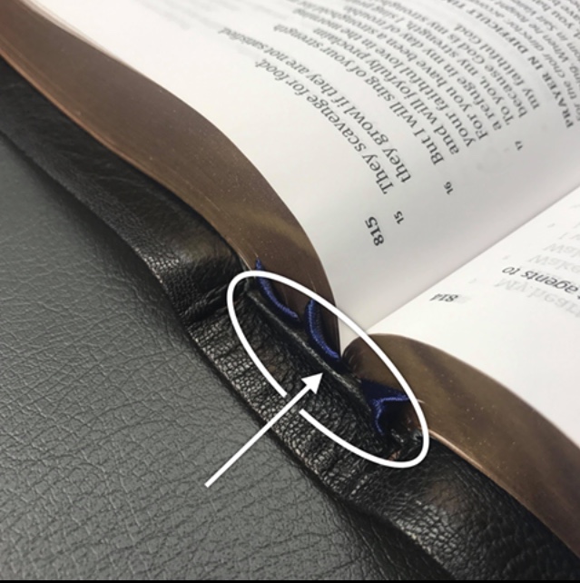 BCB6E1BB-97DA-48C7-85FA-CA14A01C19F8