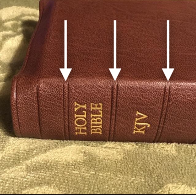 82BA6DD6-6C73-40E5-8A0F-B7E55782D6F4